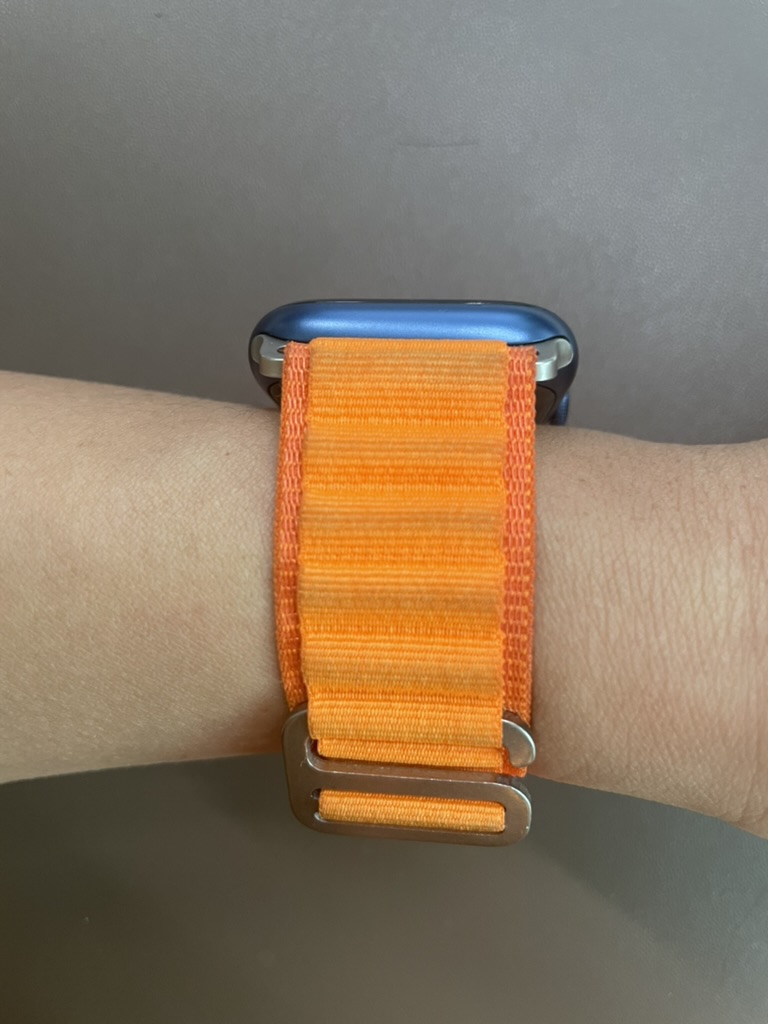 淘宝的 Apple Watch 高山回环 表带